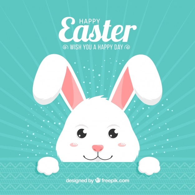 626x626 Rabbit Vectors, Photos And Free Download