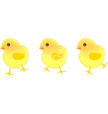 Easter Chick Vector