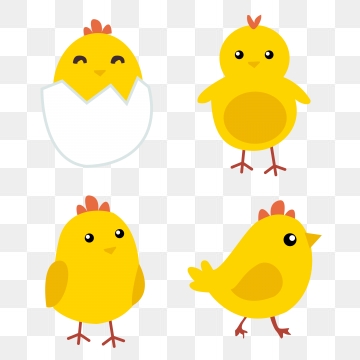 Chick Vector, Free Download Chicks, Yellow Chicks, Easter Chick 360x360 Chick Vector, Free Download Chicks, Yellow Chicks, Easter Chick