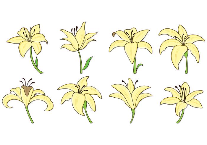Set Of Easter Lily Icons 700x490 Set Of Easter Lily Icons