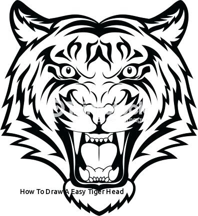 Easy Tiger Drawing 396x433 Easy Tiger Drawing
