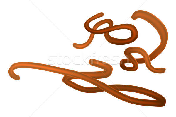 600x400 Ebola Virus Virion Vector Illustration Christos Georghiou