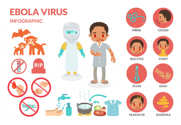 626x433 Ebola Virus Infection Infographics Vector Premium Download