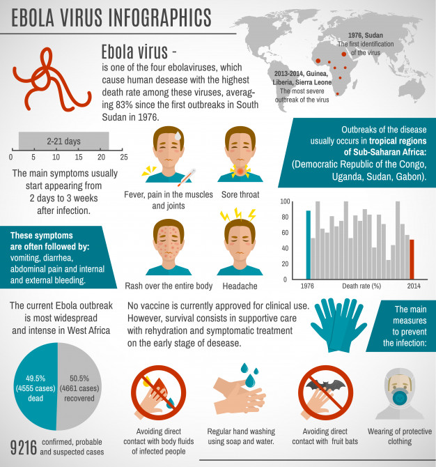 626x670 Ebola Virus Infographic Template Vector Free Download