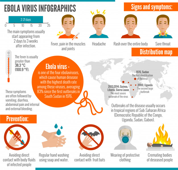 626x598 Ebola Virus Infographics Vector Free Download