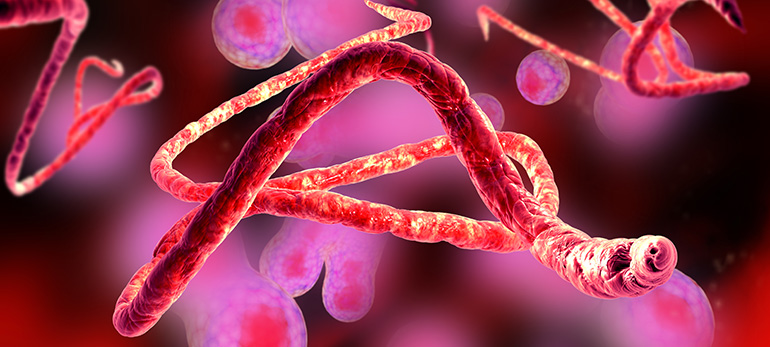 770x347 Ebola, Vector Borne Diseases Rear Ugly Heads Again