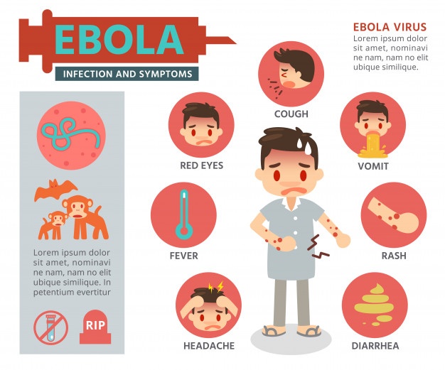 626x521 Ebola Vectors, Photos And Free Download
