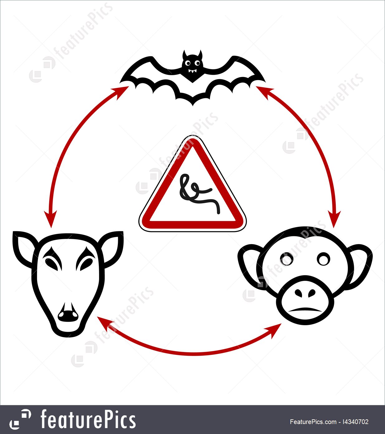 1235x1392 Ebola Virus Circulation In Nature Illustration