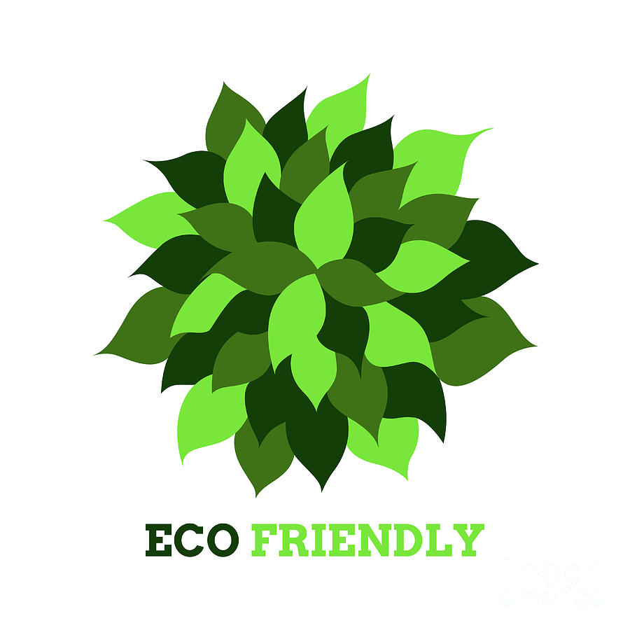 900x900 Leaf Tree Flower Eco Friendly Logo Icon Symbol Vector Design Ill