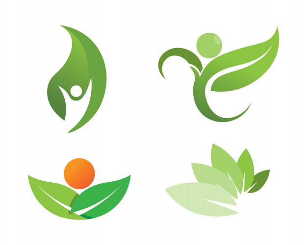 626x500 Tree Leaf Vector Logo Design, Eco Friendly Concept Vector