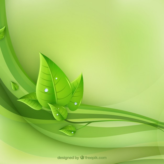 626x626 Eco Leaves And Green Waves Vector Free Download