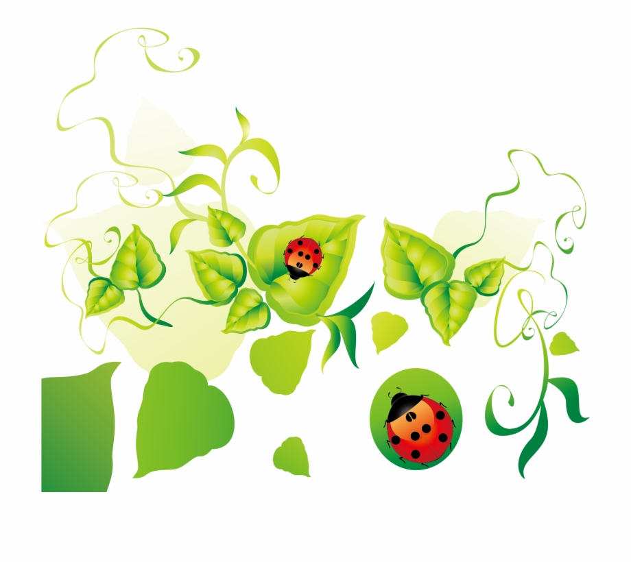920x820 Green Leaves Clipart Border Design Png