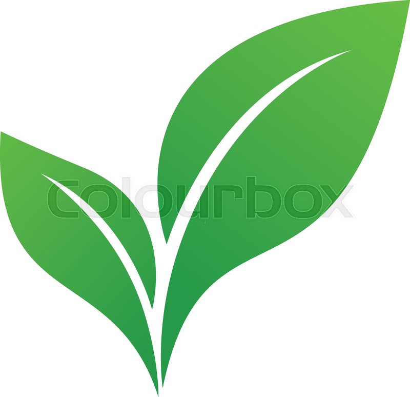 800x774 Landscape Design, Garden, Plant, Stock Vector Colourbox