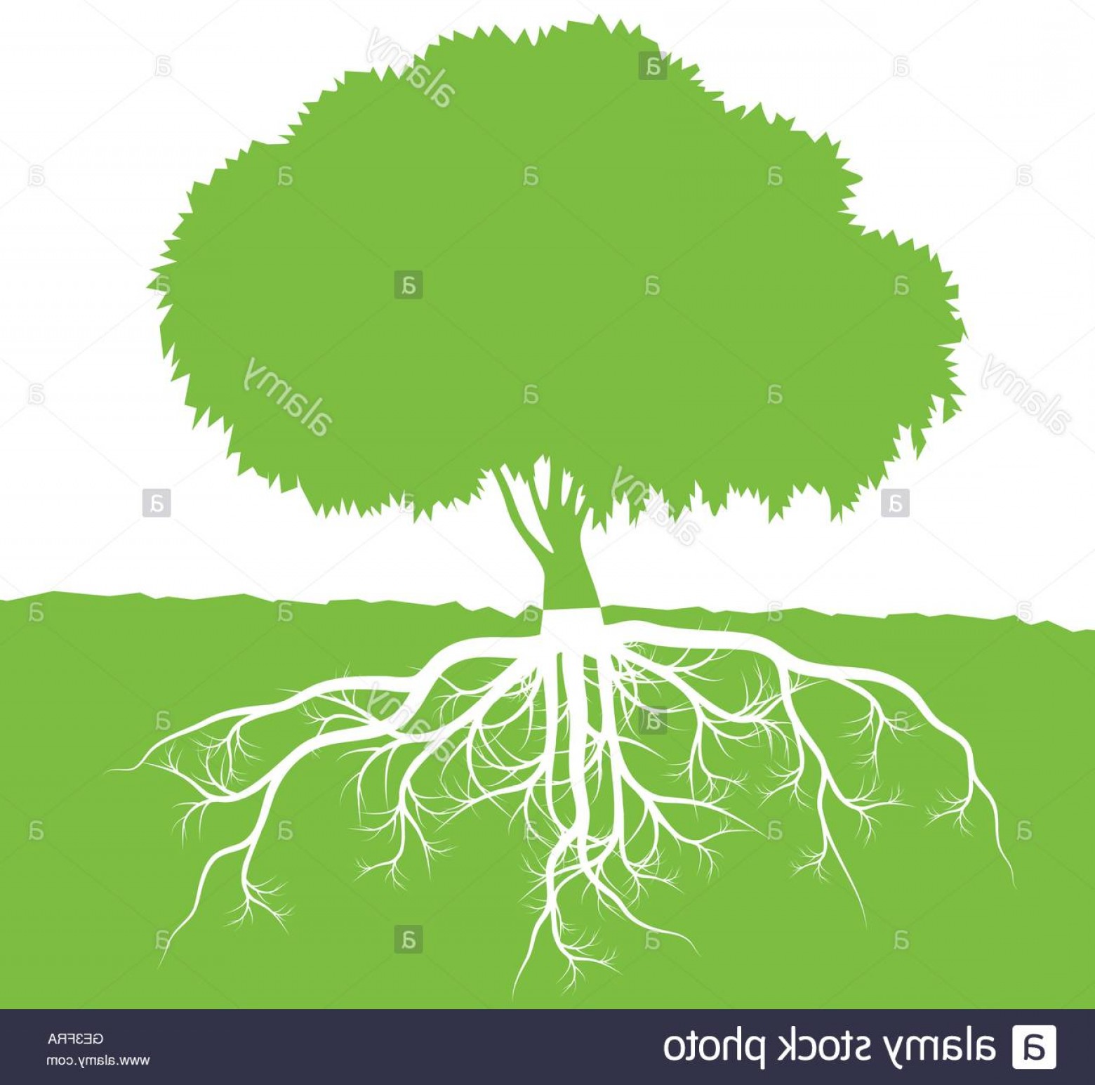 1560x1545 Stock Photo Tree With Roots Background Ecology Vector Concept