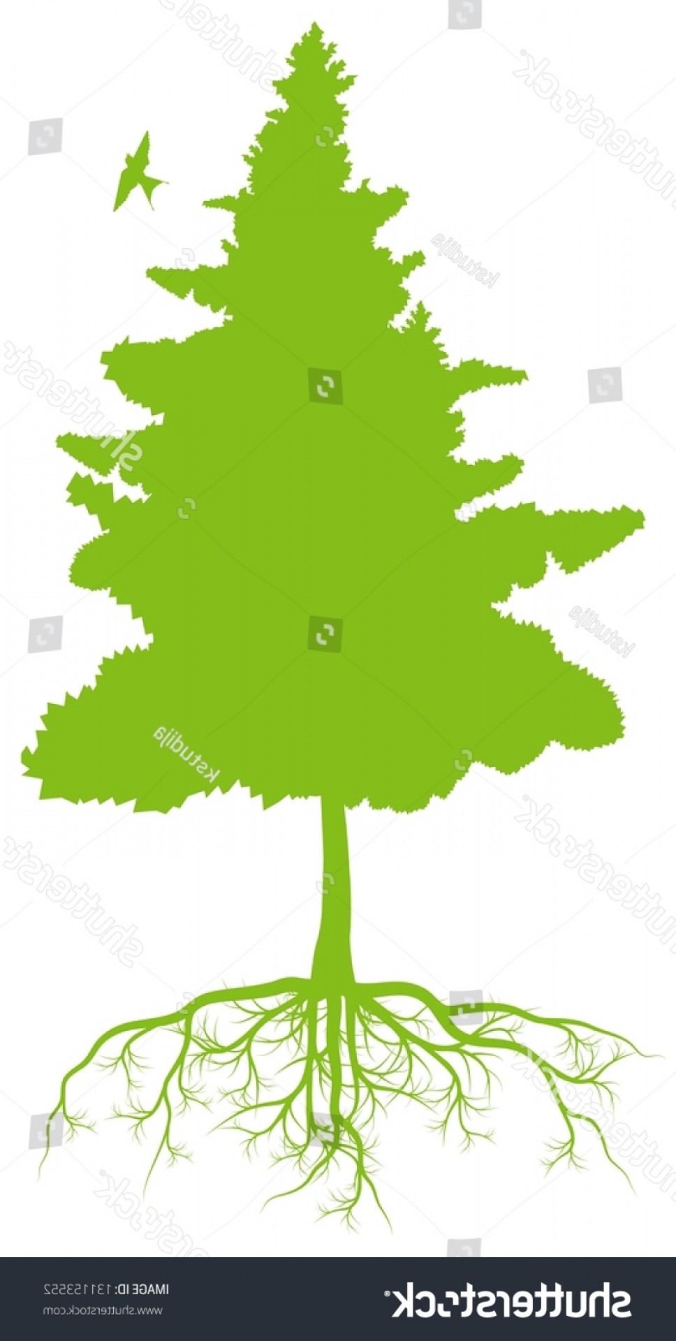 968x1920 Tree Roots Background Ecology Vector Concept Cqrecords