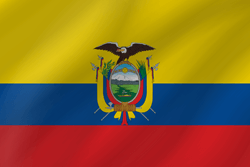 250x167 Ecuador Flag Vector