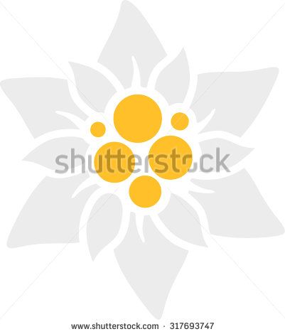 401x470 Edelweiss Flower