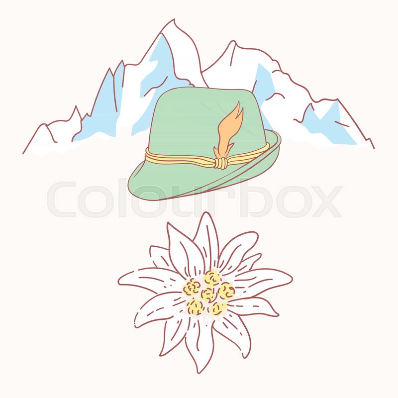 800x800 Edelweiss Tyrolean Hat Flower Symbol Stock Vector Colourbox