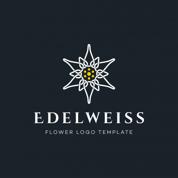 626x626 Luxury Edelweiss Flower Logo Vector Premium Download