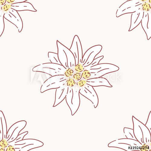 500x500 Edelweiss Flower Seamless Pattern, Tile Symbol Alpinism Alps