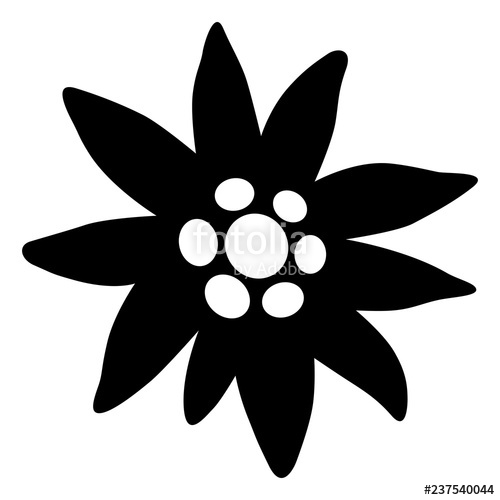 500x500 Edelweiss Icon, Black And White, Vector Stock Image And Royalty