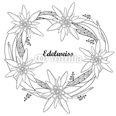 400x400 Vector Round Wreath With Outline Edelweiss Or Leontopodium Alpinum