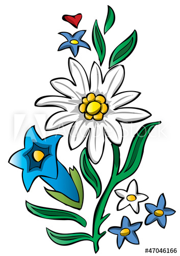 353x500 Edelweiss