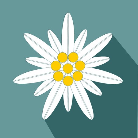 450x450 Edelweiss Flower Symbol Alpinism Logo Vector Royalty Free