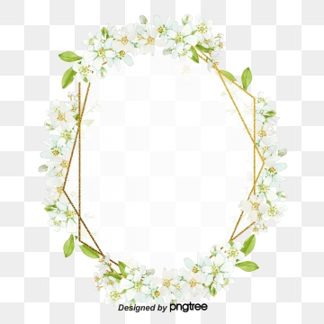 360x360 Edelweiss Png Images Vector And Free Download