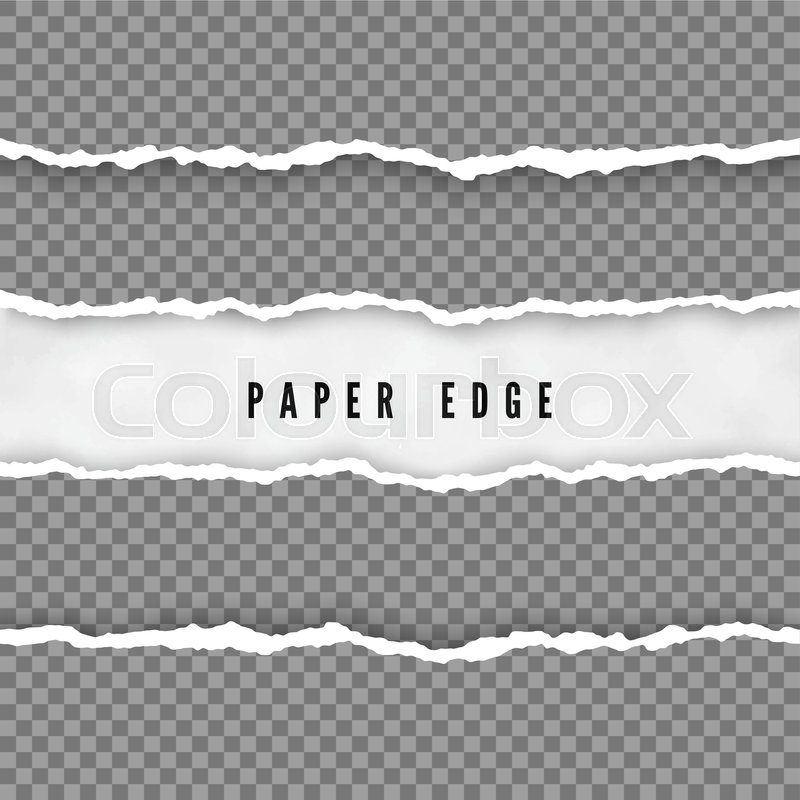 800x800 Set Of Torn Paper Stripes Paper Stock Vector Colourbox