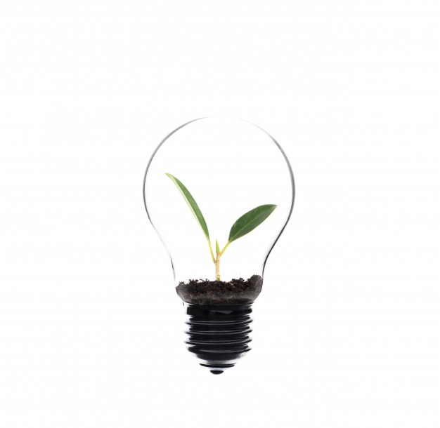 Edison Vectors, Photos And Free Download 626x610 Edison Vectors, Photos And Free Download