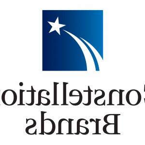 300x300 Catamart Creative Vector Illustrator