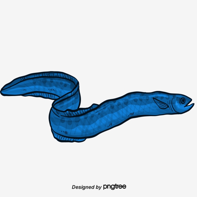 Eel Vector