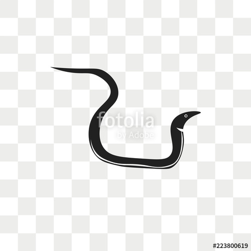 Eel Vector at Vectorified.com | Collection of Eel Vector free for ...