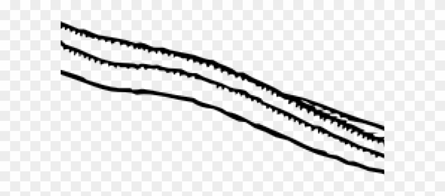 880x389 Eels Clipart Vector