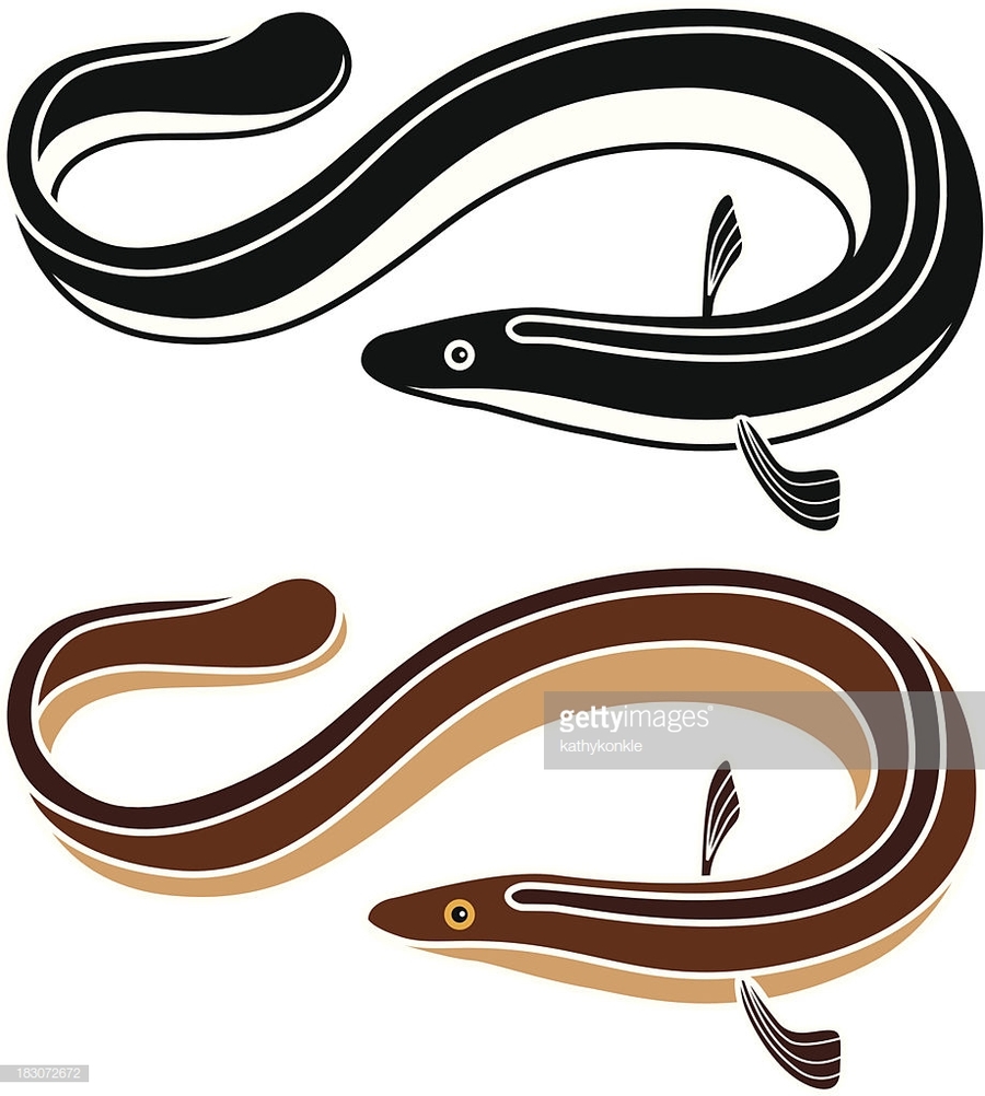 900x1002 Download Eel Vector Clipart Eel Clip Art