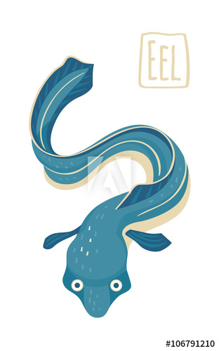 312x500 Eel, Vector Illustration