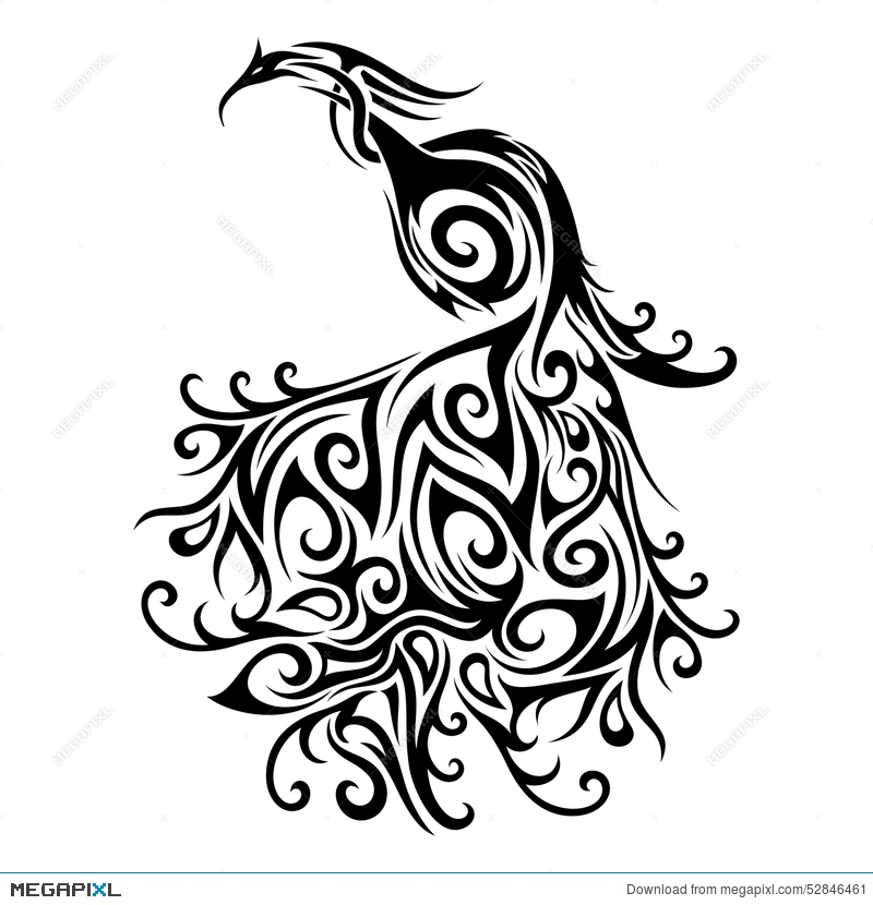 800x830 Vector Logo Peacock Illustration