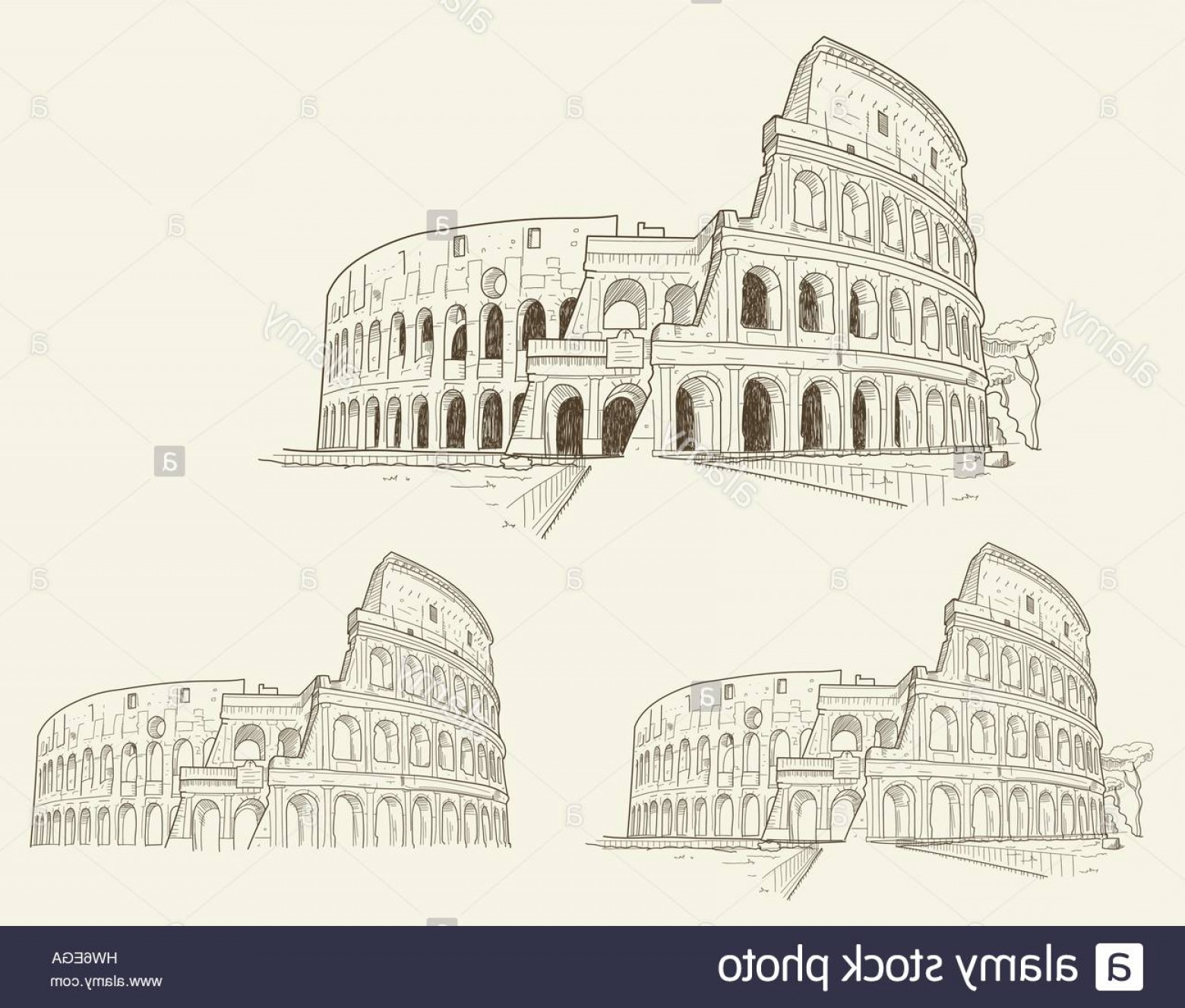 1560x1327 Ega Vector Artwork Sarahgardan