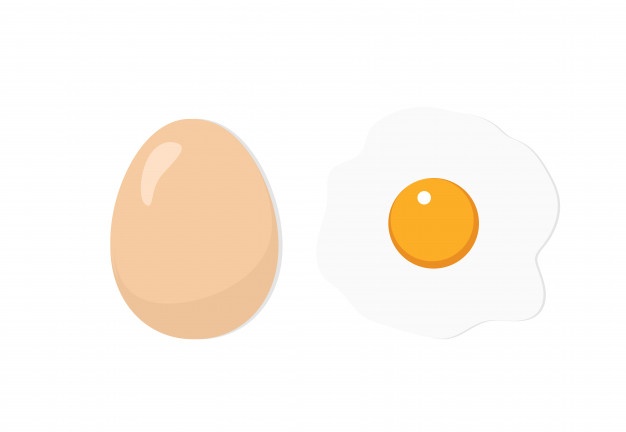 626x432 Egg Vectors, Photos And Free Download
