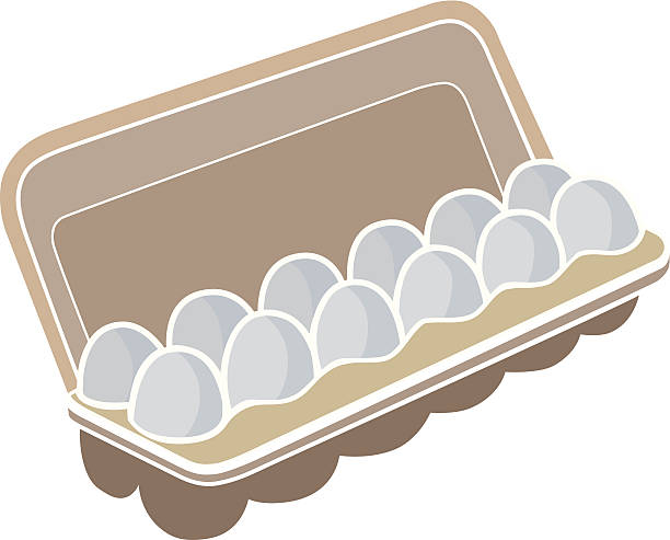 Egg Carton Vector at Vectorified.com | Collection of Egg Carton Vector ...