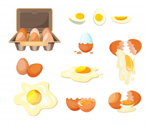 626x528 Eggs Vectors, Photos And Free Download