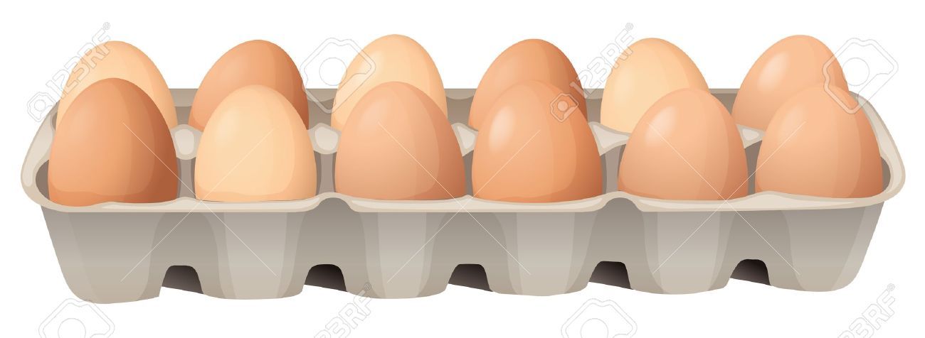1300x476 Egg Carton Illustration