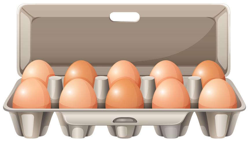 861x490 Carton Of Raw Eggs