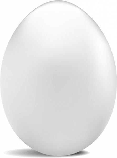 445x600 White Egg Free Vector In Adobe Illustrator