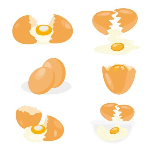 Egg Free Vector Art 490x490 Egg Free Vector Art