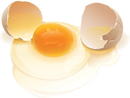 Egg Free Vector Download 450x338 Egg Free Vector Download