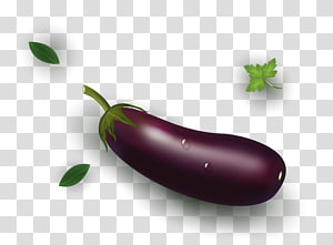 300x221 Eggplant Vector Transparent Background Png Cliparts Free Download