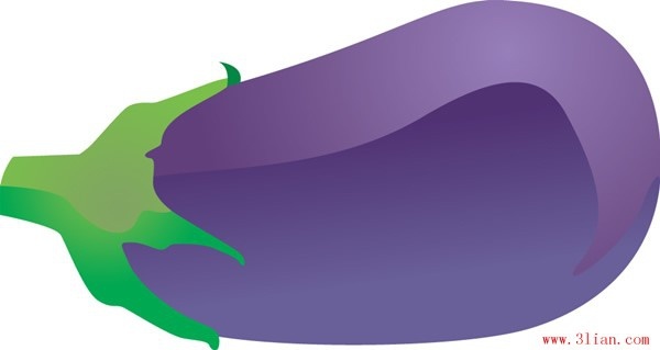 600x319 Eggplant Vector Free Vector In Adobe Illustrator