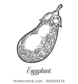 260x280 Eggplant Vector Isolated On White Background Eggplant Food